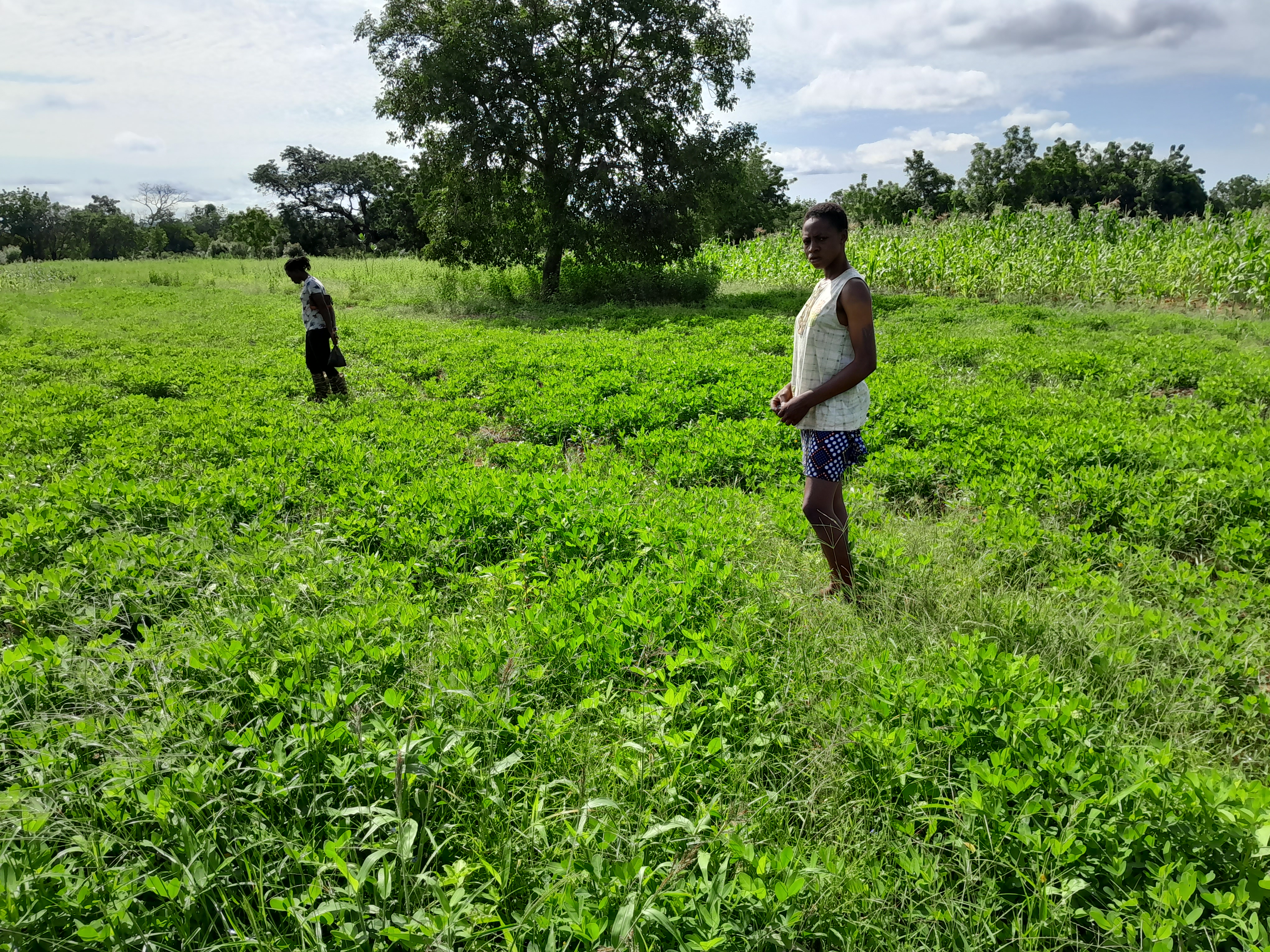 Mama Rita Farm